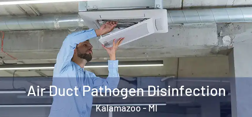  Air Duct Pathogen Disinfection Kalamazoo - MI