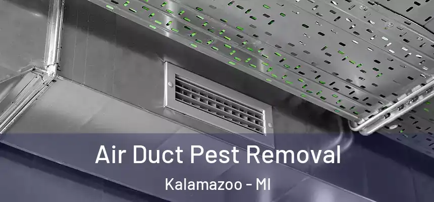 Air Duct Pest Removal Kalamazoo - MI