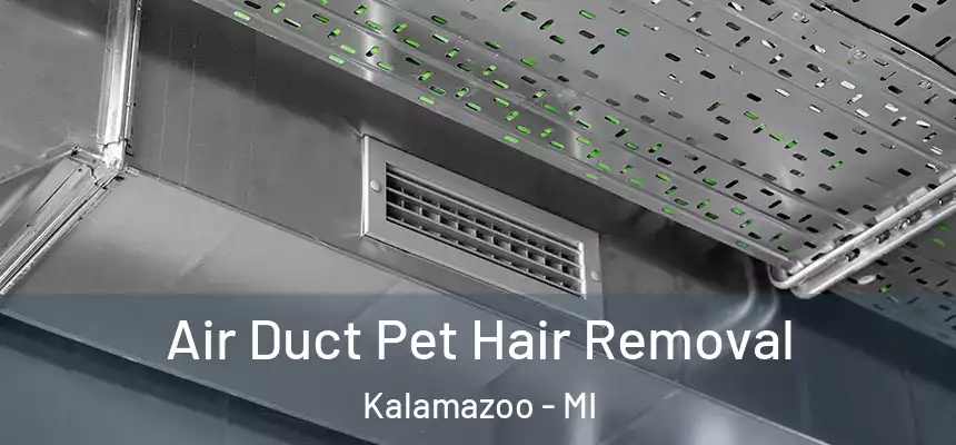 Air Duct Pet Hair Removal Kalamazoo - MI