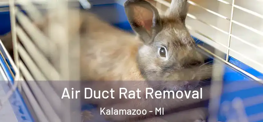 Air Duct Rat Removal Kalamazoo - MI
