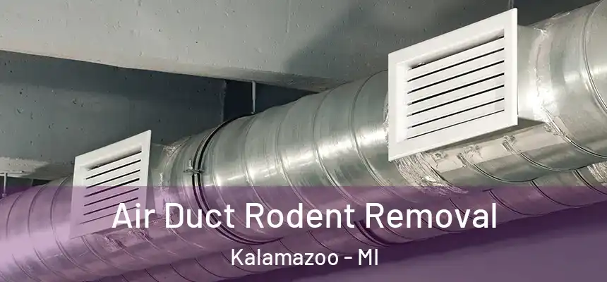 Air Duct Rodent Removal Kalamazoo - MI