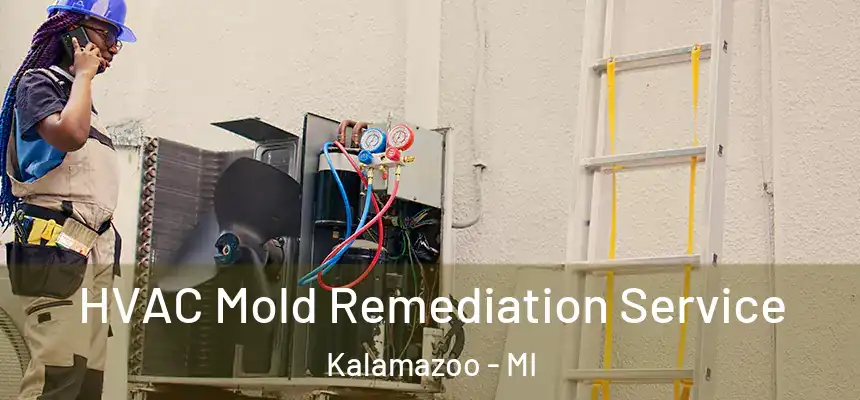  HVAC Mold Remediation Service Kalamazoo - MI