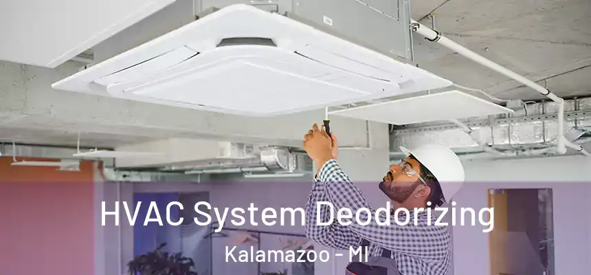  HVAC System Deodorizing Kalamazoo - MI
