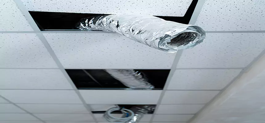 Affordable HVAC Sanitizing After Pest Removal in Kalamazoo