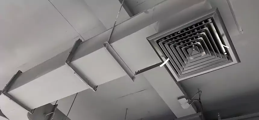 Restorative Allergy Relief Vent Cleaning – Coil, Blower & Housing Detail in Kalamazoo