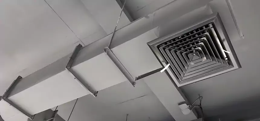 Our Pest Removal From Ducts Services in Kalamazoo, MI