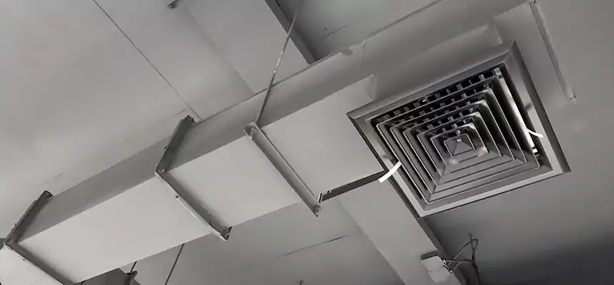 Our Rodent Droppings In Vents Services in Kalamazoo, MI