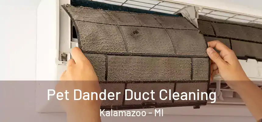  Pet Dander Duct Cleaning Kalamazoo - MI
