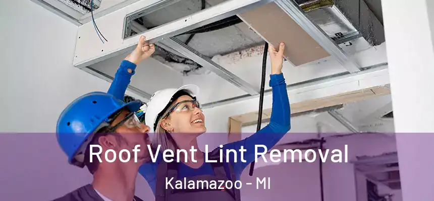  Roof Vent Lint Removal Kalamazoo - MI