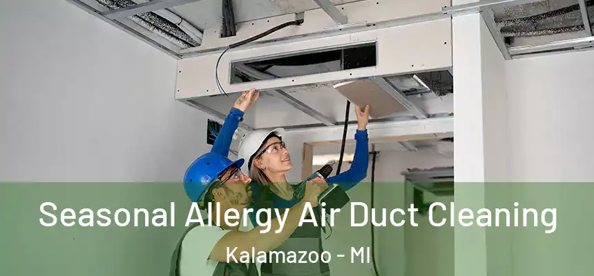 Seasonal Allergy Air Duct Cleaning Kalamazoo - MI