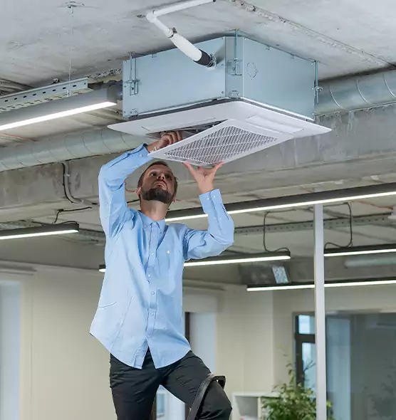 Advanced Rodent Droppings In Vents in Kalamazoo, MI
