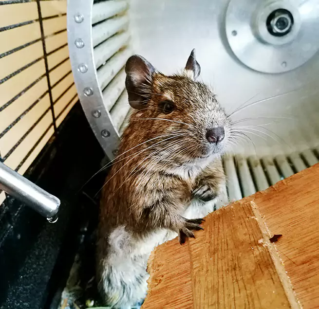 Why Homeowners & Businesses Trust Us Kalamazoo, MI