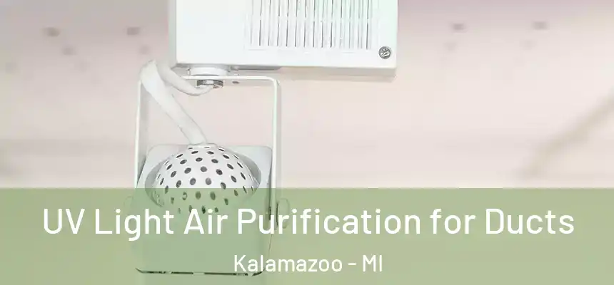  UV Light Air Purification for Ducts Kalamazoo - MI